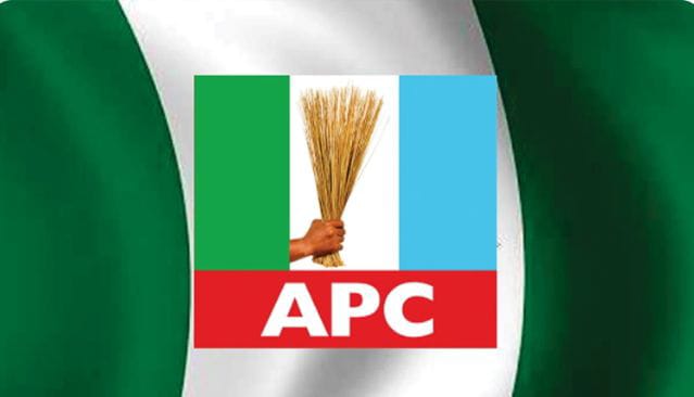 APC Clears All 17 LG Chairmanship Seats In Enugu